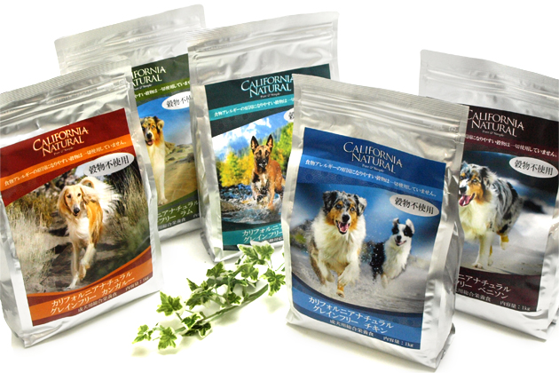 �J���t�H���j�A �i�`������ �O���C���t���[